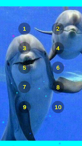 Dolphin Sounds Of The Sea Screen 2