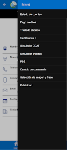 Screenshot image
