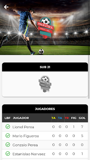 TORNEO PROFUTBOL Screen 2