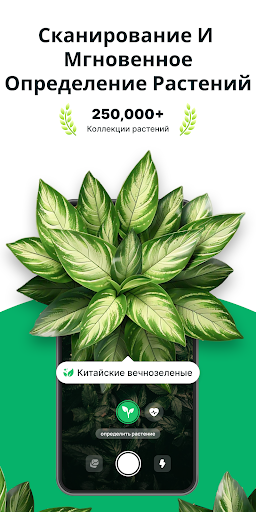 Предварительный просмотр приложения