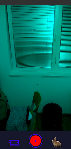 Animal Cam Screen 3