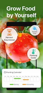 GrowIt: Vegetable Garden Care 1