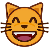 Play with cat icon