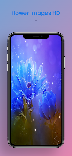 flower images HD Screen 3