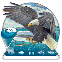 Fly Underwater Illustration Eagle Theme