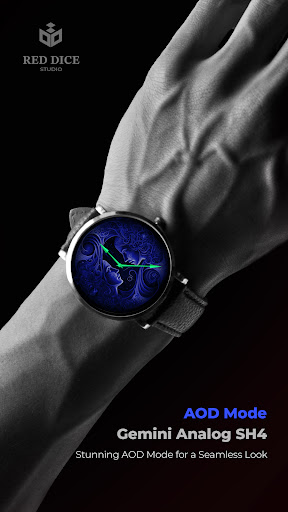 Reddice Gemini Analog SH4