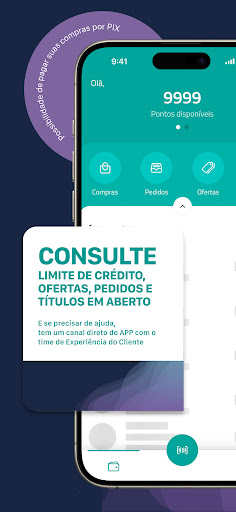 Vila Cash Screen 2