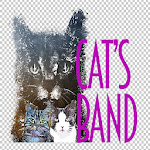 Cover Image of Download Cat's band  APK