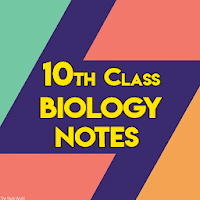 10th Class Biology Notes