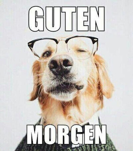 Lustige Grüße für Guten Morgen Screen 3
