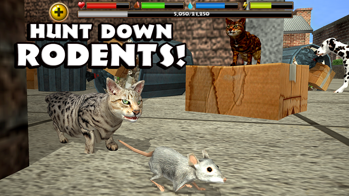 Android application Stray Cat Simulator screenshort