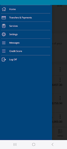 Cedar Point Banking Screen 3