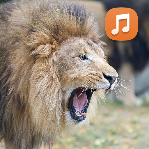 Lion Roar - Sound Effect