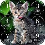 Kitten Lock Screen icon