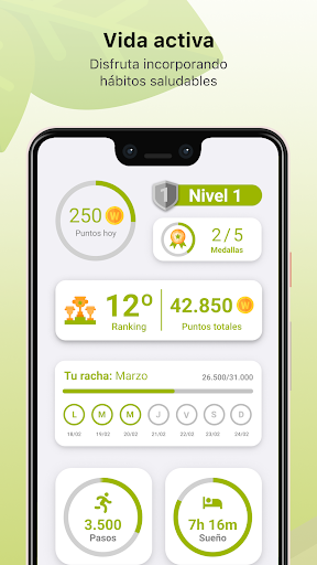 Vista previa de la aplicación