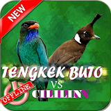Tengkek Buto VS CiLiLin icon