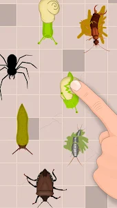 Insects Smasher: Ant Crush
