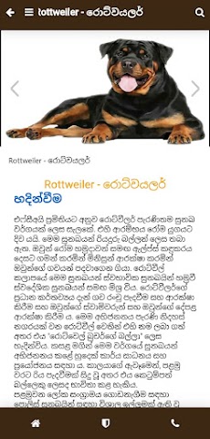Pet Care Sinhalenのおすすめ画像4