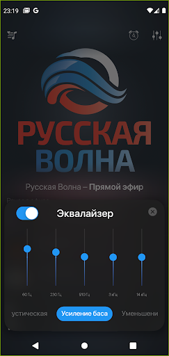 Русская Волна Screen 3