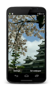 Sakura Video Live Wallpaper