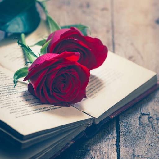 Android application Beautiful Flowers & Roses Pics screenshort
