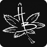 The Official Haze Brown App icon