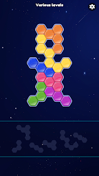 Block Hexa: Basic Puzzle