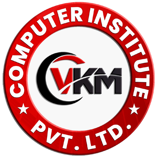 VKM Computer Institute logo