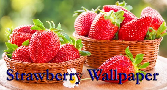 Strawberry Wallpaper HD Mod Apk Download 3