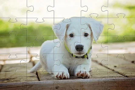 Dogs jigsaw puzzles – Apps on Google Play
