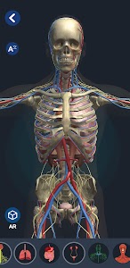 Human Anatomy 3D Unknown