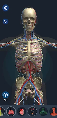 Game screenshot Human Anatomy 3D mod apk