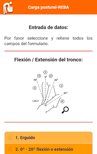 Carga postural - REBA Screen 3