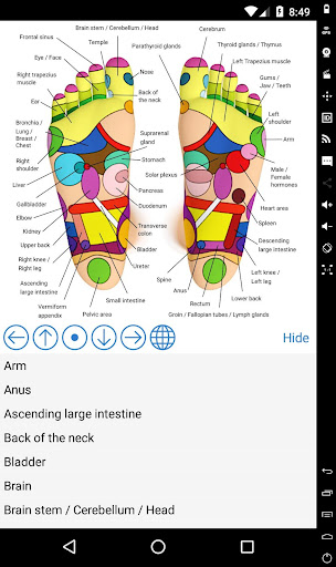 Foot Reflexology Chart Screen 3