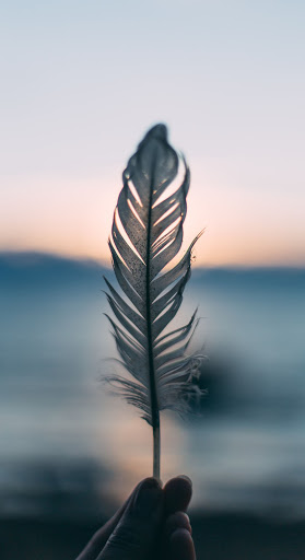 Feather Wallpaper 4K