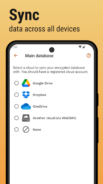 Passwords & Passkeys-Safe Snapshots 8