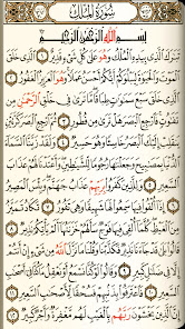 Holy Quran with Tafsir and other features