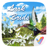 Lark Birds 3D V Launcher Theme icon