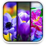 Flower Live Wallpapers icon