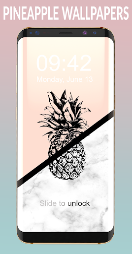 Pineapple Pattern Lock Screen Screen 3