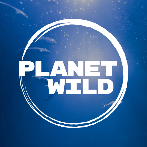 Planet Wild Download on Windows