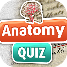 Symbolbild für Anatomie Quiz