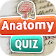Anatomie Spaß Frei Quiz