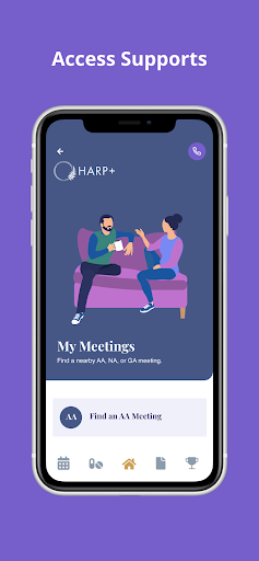 HARP+ Screen 3