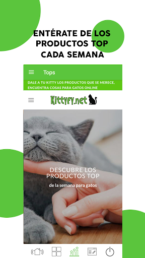 Kittyfy - Encuentra todo tipo de cosas para gatos