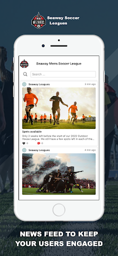 Seaway Soccer Leagues Screen 2