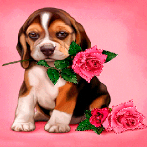 Puppy Rose Live Wallpaper  Icon