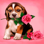 Puppy Rose Live Wallpaper Apk