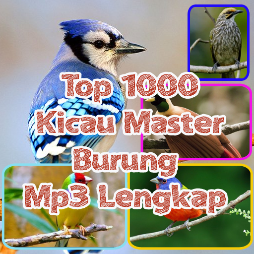 Top 1000 Kicau Master Burung Mp3 Lengkap