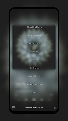 The Phoenix Project - Awaken Screen 3